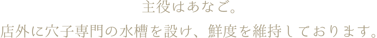 主役はあなご。店外に穴子専門の水槽を設け、鮮度を維持しております。