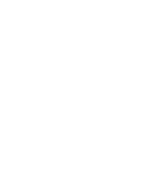 土手の伊勢屋のこだわり 創業より一二六年、変わらぬ技法で天丼をお作りしております